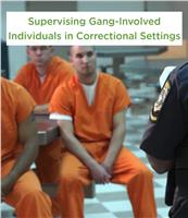 Strategies for Managing Gang-Involved Individuals in Custody